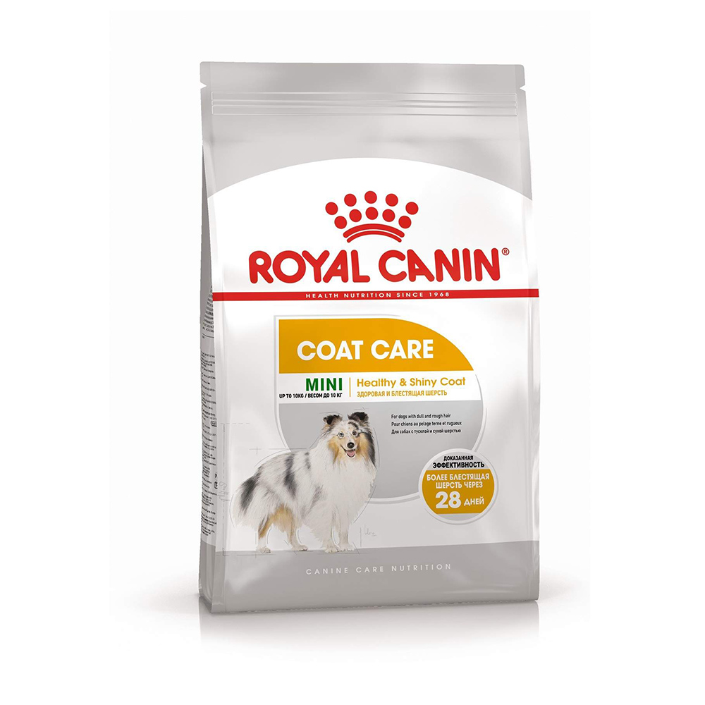 Royal Canin корм Мини Коат Кэа