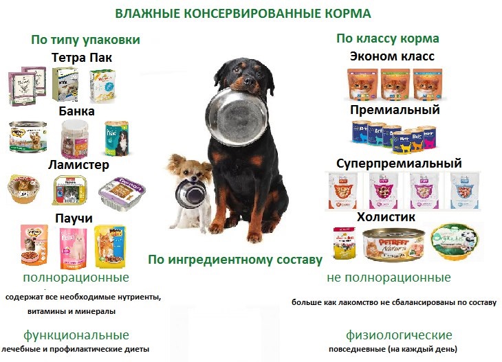 Выбираем корм для мелких собак 3.jpeg